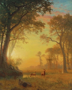 Light in the Forest by Albert Bierstadt [1830–1902]